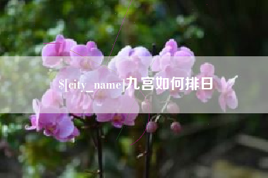 来宾九宫如何排日