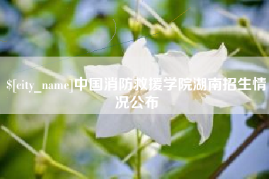 来宾中国消防救援学院湖南招生情况公布