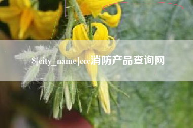 来宾ccc消防产品查询网