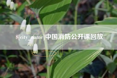 来宾中国消防公开课回放