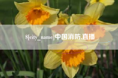 来宾中国消防,直播