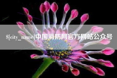 来宾中国消防网官方网站公众号