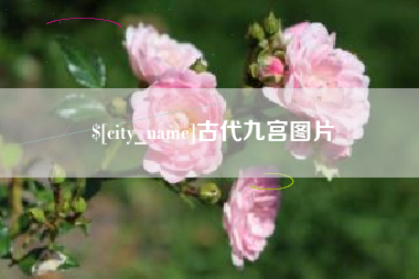 来宾古代九宫图片