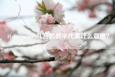 来宾九宫的数字代表什么意思？