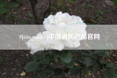来宾中国消防产品官网
