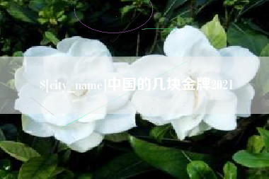 来宾中国的几块金牌2021