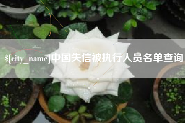 来宾中国失信被执行人员名单查询