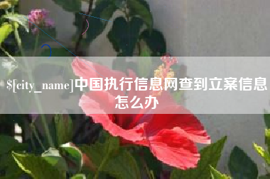 来宾中国执行信息网查到立案信息怎么办