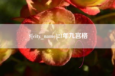 来宾21年九宫格