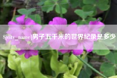来宾男子五千米的世界纪录是多少