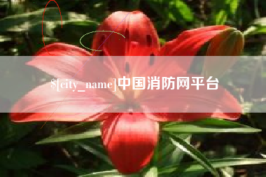 来宾中国消防网平台