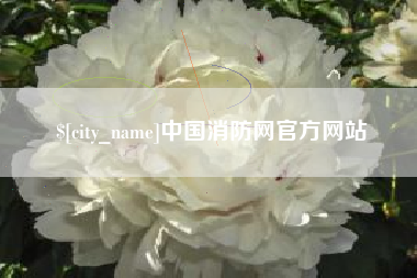 来宾中国消防网官方网站