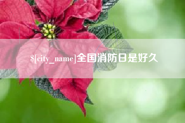 来宾全国消防日是好久