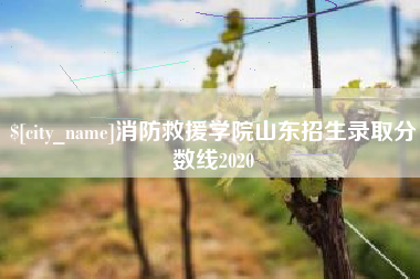 来宾消防救援学院山东招生录取分数线2020