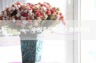 来宾中国失信执行人查询官网