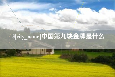 来宾中国第九块金牌是什么