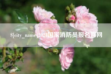来宾2021国家消防员报名官网