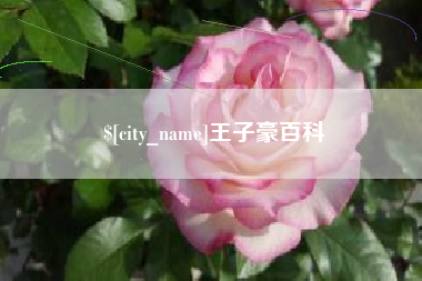 来宾王子豪百科