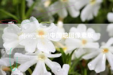 来宾中国地图像素版