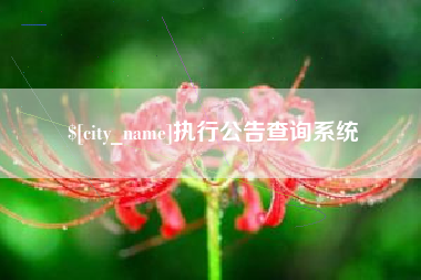 来宾执行公告查询系统