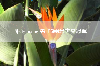 来宾男子5000米世界冠军