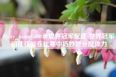 来宾5000米世界冠军配速-世界冠军们往往能在比赛中巧妙地分配体力