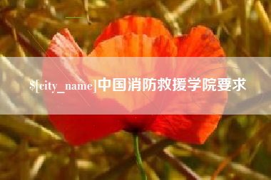 来宾中国消防救援学院要求