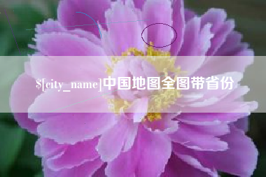 来宾中国地图全图带省份