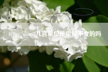 来宾九宫星位是定位不变的吗