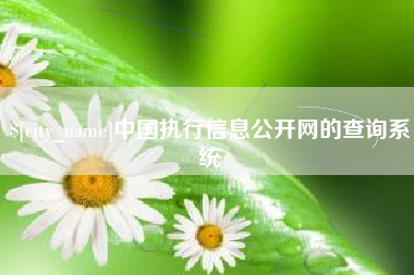 来宾中国执行信息公开网的查询系统