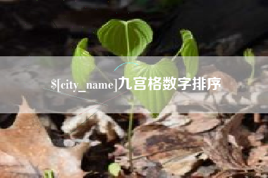 来宾九宫格数字排序