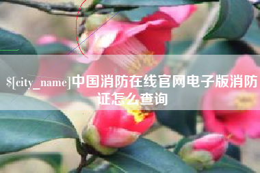 来宾中国消防在线官网电子版消防证怎么查询