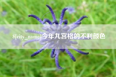 来宾今年九宫格的不利颜色