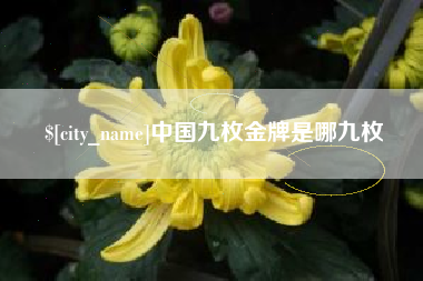 来宾中国九枚金牌是哪九枚