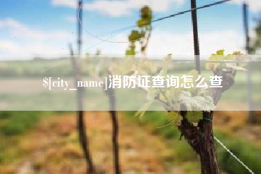 来宾消防证查询怎么查