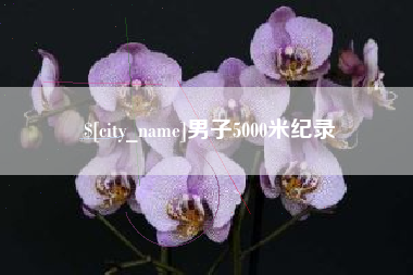 来宾男子5000米纪录