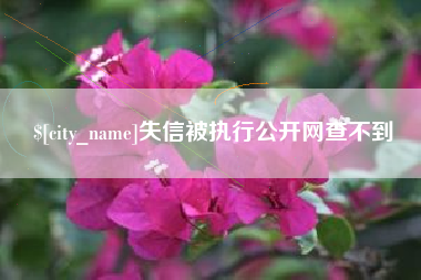来宾失信被执行公开网查不到
