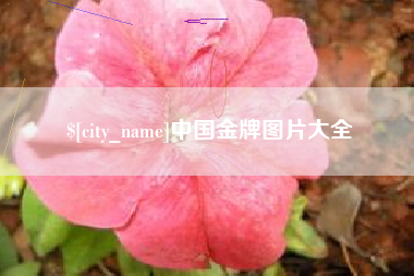 来宾中国金牌图片大全