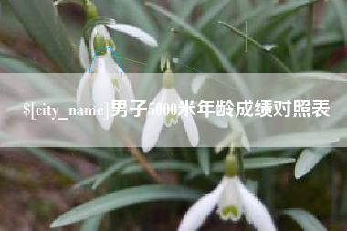 来宾男子5000米年龄成绩对照表