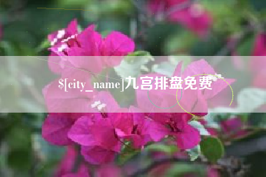 来宾九宫排盘免费