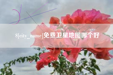 来宾免费卫星地图哪个好