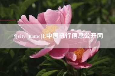 来宾1.中国执行信息公开网
