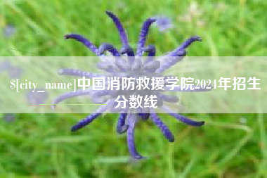 来宾中国消防救援学院2024年招生分数线