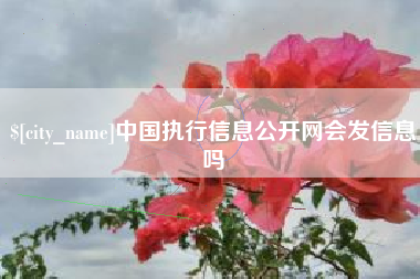 来宾中国执行信息公开网会发信息吗