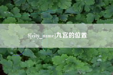 来宾九宫的位置