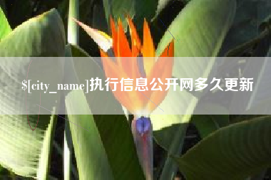来宾执行信息公开网多久更新