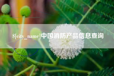 来宾中国消防产品信息查询