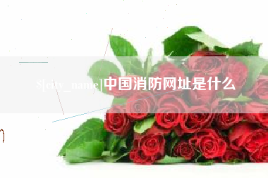 来宾中国消防网址是什么