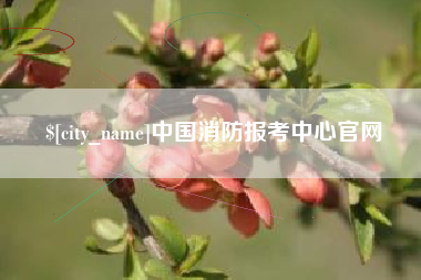 来宾中国消防报考中心官网