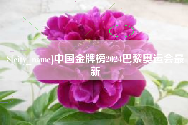 来宾中国金牌榜2024巴黎奥运会最新
